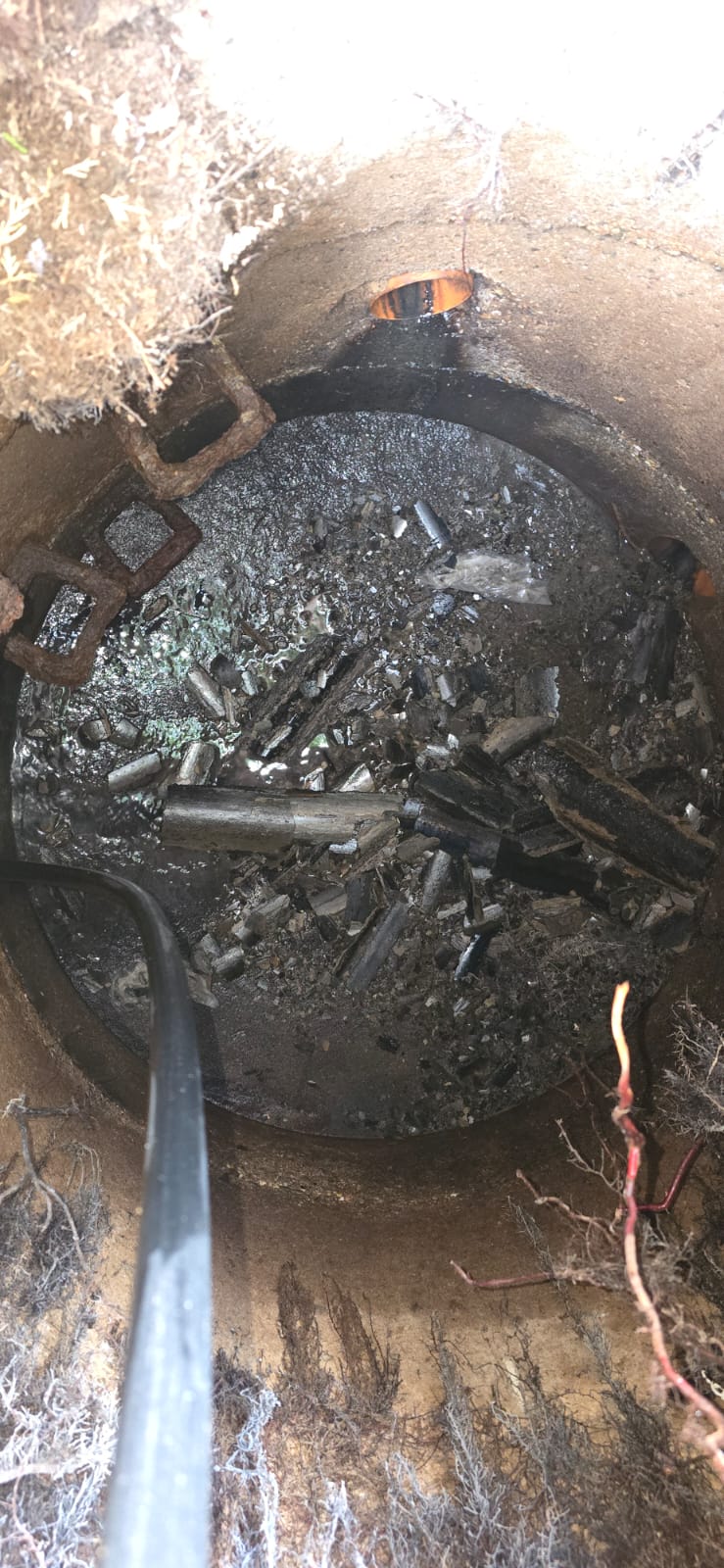 Verstopfter Schacht mit Wurzeln